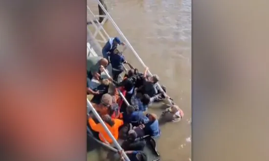 Eyewitness Video Captures Frantic Efforts to Save Lives After Deadly Collapse of Dock Walkway