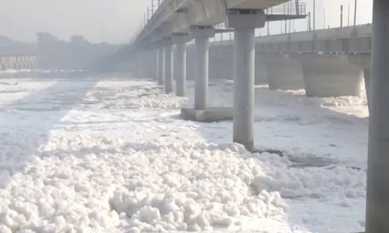India’s Yamuna River Blanketed by Thick Toxic Foam