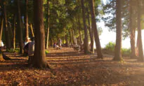 Where Nature and Art Prevail: A Journey Into Wisconsin’s Door County
