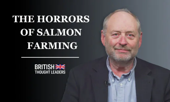 Salmon Farming Is Wiping Out Wild Fish and Damaging Our Environment: Nick Measham