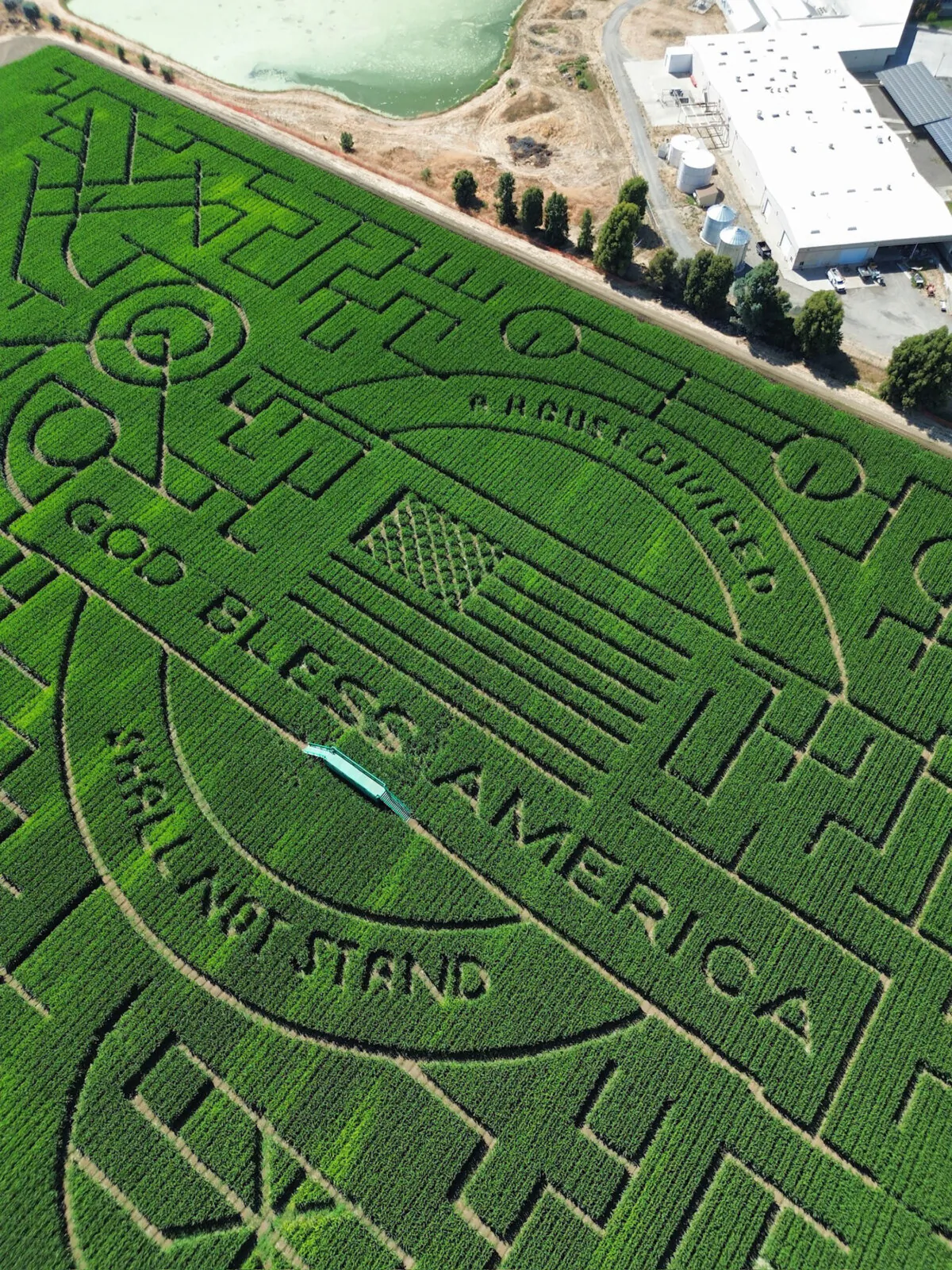An aerial view of the corn maze at Cool Patch Pumpkins in Dixon, Calif. (Tayler Cooley/TNS)
