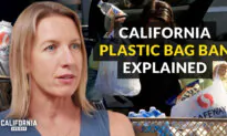 Navigating California’s Plastic Bag Ban: What You Need to Know | Catherine Blakespear