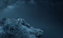 ‘Dreaming Above the Universe’: Photographer Wins Award for Creative Image of Bear Family Sleeping Under the Stars