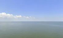 Woman Killed and Dumped in Lake Pontchartrain in 1986 Is Finally Identified