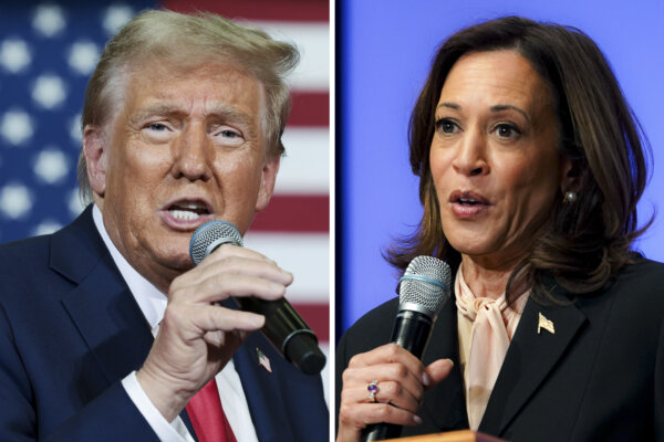 Trump, Harris Enter Final Week of Campaign: Here's the Swing-State Vote Breakdown