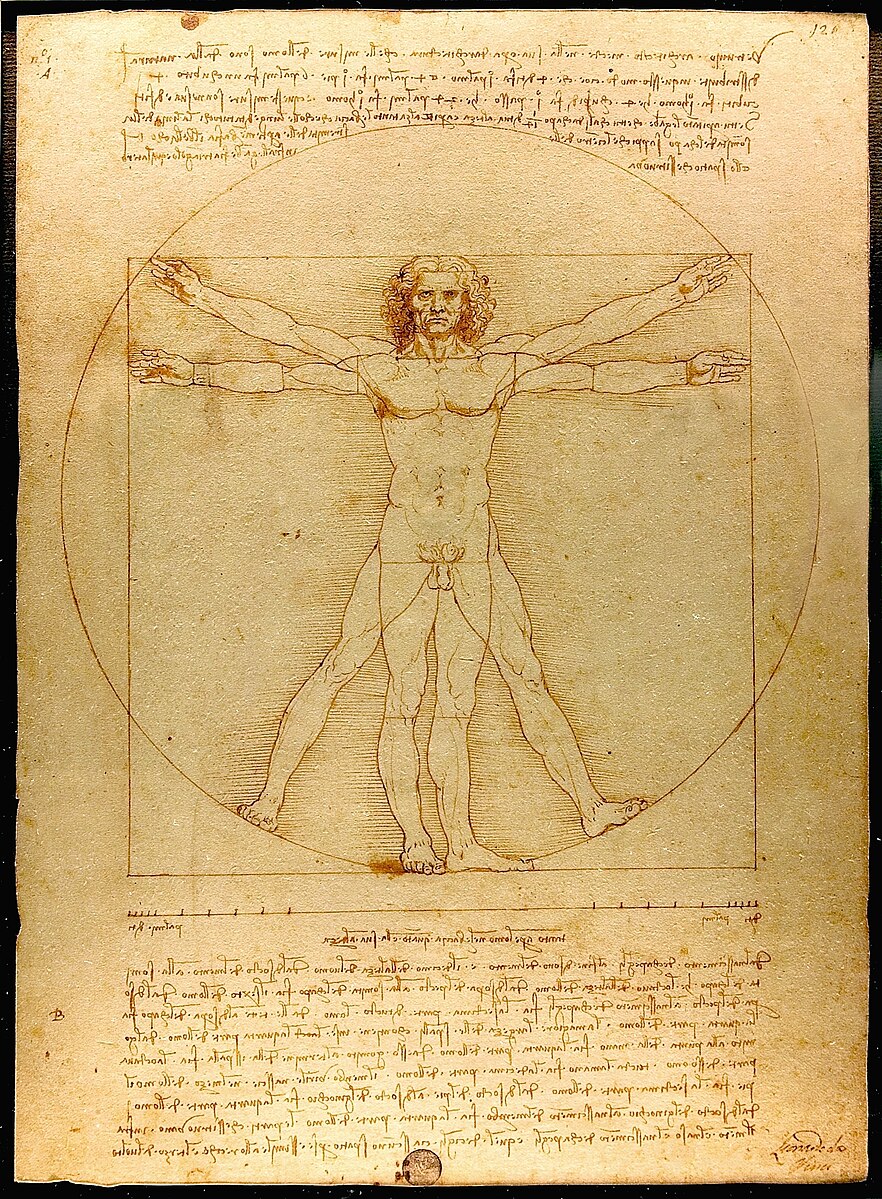 Vitruvian Man Da Vinci