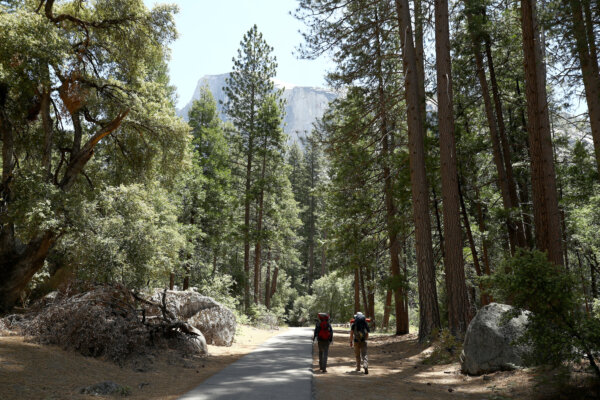 After Firings, National Parks Are Hiring