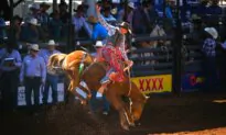 Largest Rodeo in the South Hemisphere Plunged into Administration