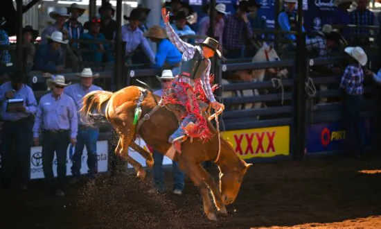 Largest Rodeo in the South Hemisphere Plunged into Administration