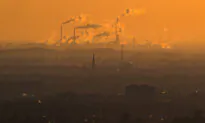 Feel-Good Environmental Regulations Won’t Save the Planet, but They Do Harm Consumers