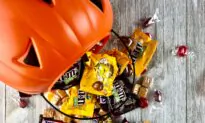 Trick, Treat, or Trade? The Magic and Mischief of the Switch Witch