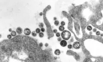 Death From Lassa Virus Reported in US