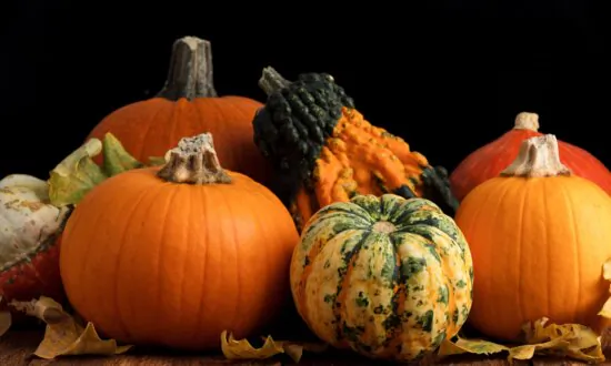 Pumpkin Substitutes