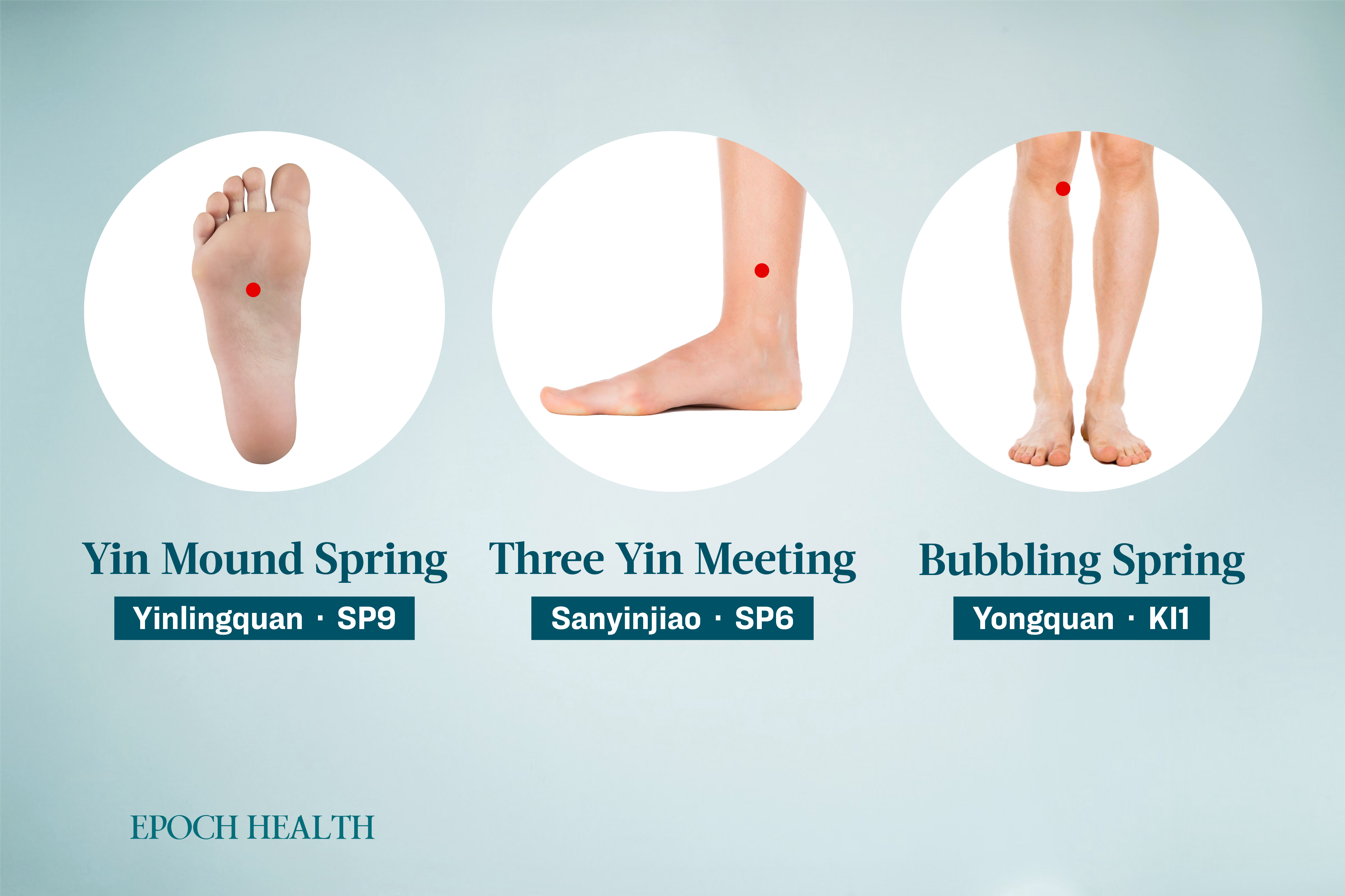 Locations of the Yinlingquan, Sanyinjiao, and Yongquan Acupoints. (The Epoch Times)