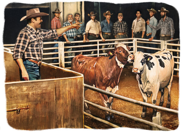 Stepping Back in Time at a Cattle Auction