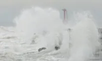 Taiwan Shuts Down for Typhoon Krathon, Bringing Torrential Rain
