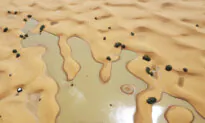 Water Gushes Through Sand Dunes After Rare Rainfall in Sahara Desert