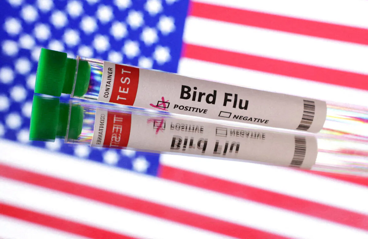 Test tube labelled "Bird Flu" in front of U.S. flag in this illustration taken on June 10, 2024. (Dado Ruvic/Illustration/Reuters)