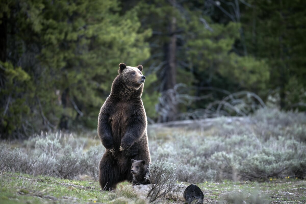 Epoch Times Photo