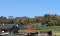 Frontier Culture Museum: ‘Out of Many, One’