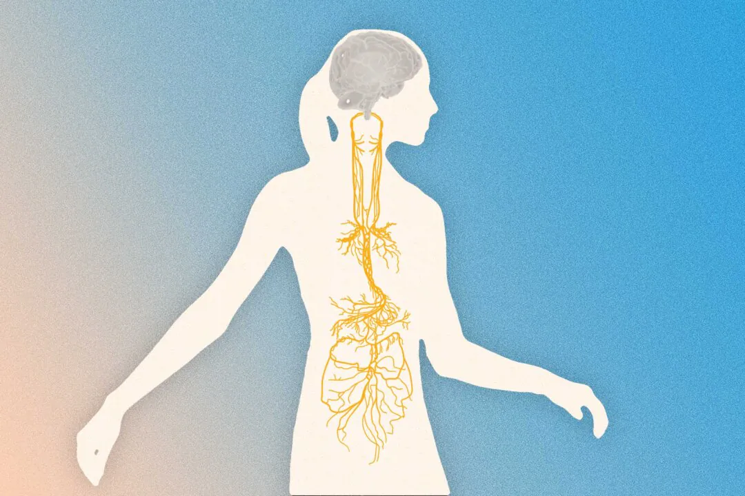 (Illustration by The Epoch Times, Shutterstock)