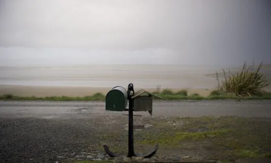 Home Mailboxes on the Chopping Block As New Zealand’s Postal Service Cuts Costs