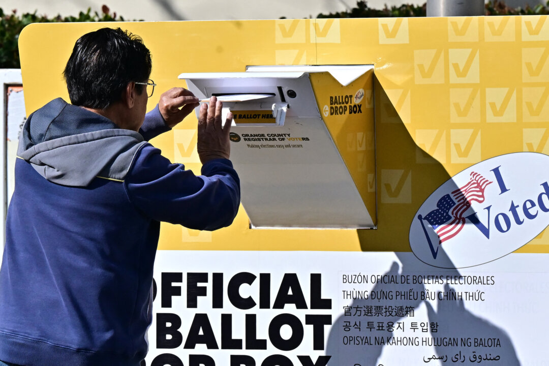 California City Voters Opposed to Noncitizen Voting Measure in Preliminary Results