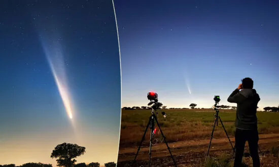 Comet Chaser Captures Epic Shots of Atlas Comet With Spectacular Anti-Tail in Pink Twilight Sky