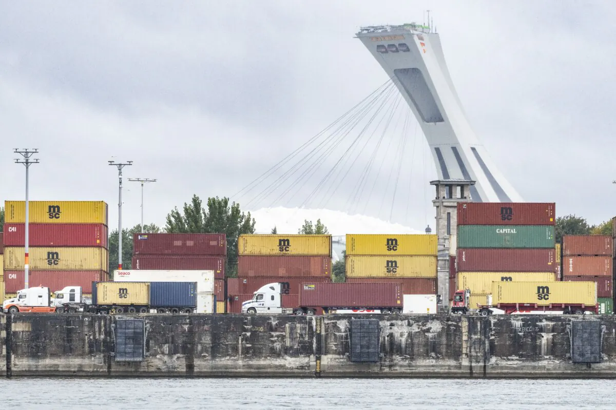 Trucks carrying shipping containers drive through the Port of Montreal, on Sept.19, 2023. (The Canadian Press/Christinne Muschi)