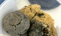 Mysterious Balls on Sydney Beaches Were Actually a Mix of Faeces and Drugs