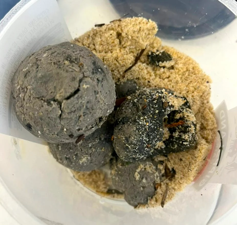 A close-up of one of the black balls which washed up on Sydney beaches in October 2024. (Jon Beves/CC BY 4.0).
