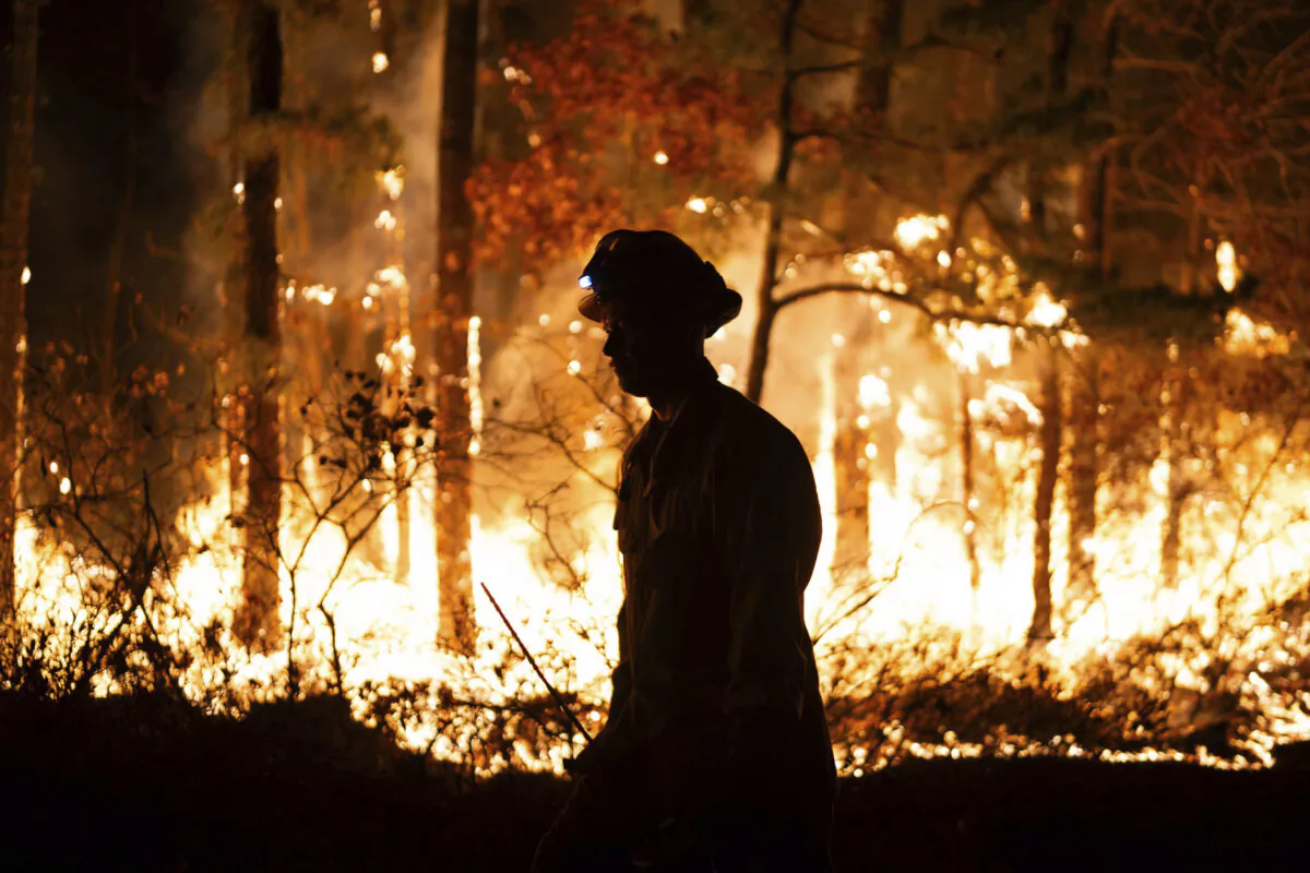 A firefighter is silhouetted against a forest fire in Evesham, N.J., on Nov. 6, 2024. (New Jersey Department of Environmental Protection via AP)