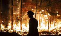 Firefighters Battling New Jersey Wildfires