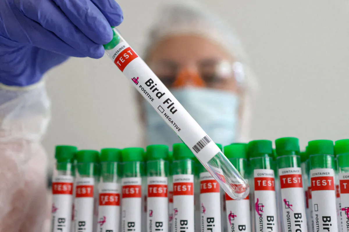 A photo illustration of test tubes labeled "Bird Flu" on Jan. 14, 2023. (Dado Ruvic/Reuters Illustration/File)