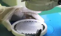 China’s Chip Industry Prepares for Trump Presidency | Business Matters (Nov. 8)