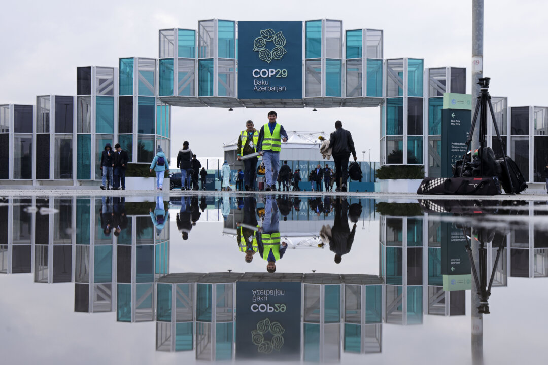 G20 Summit Aligns with COP29 on Climate Finance