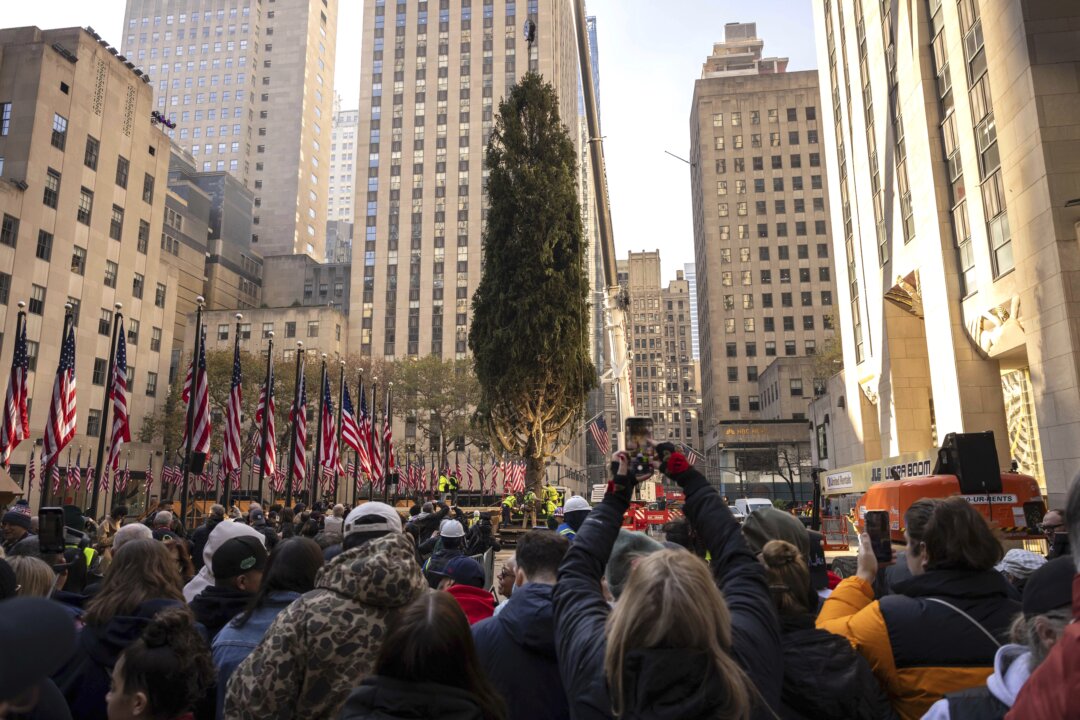 Haul Out the Holly! Rockefeller Center Christmas Tree Arrives in New York City