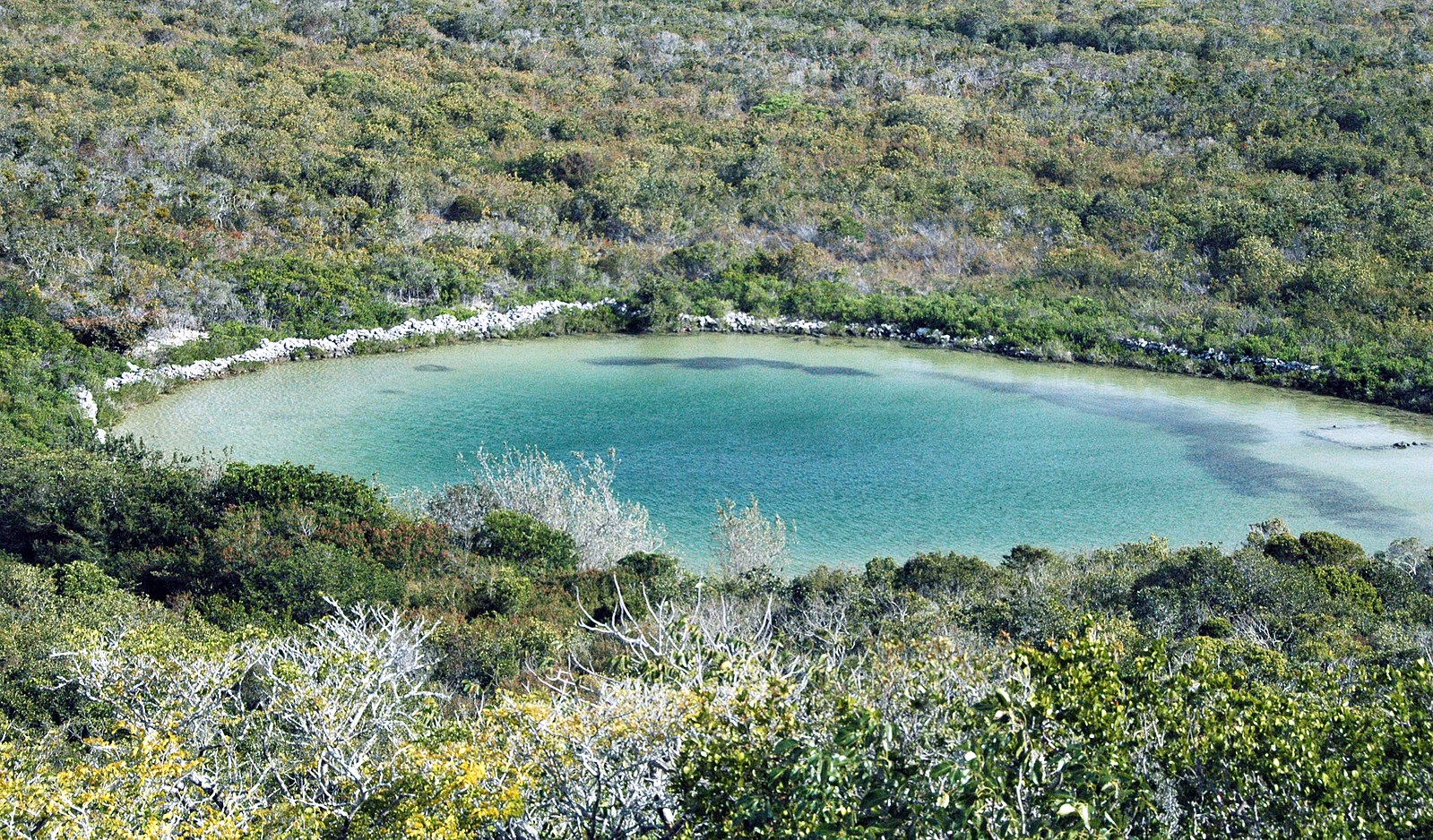 Watling's Blue Hole, San Salvador Island 