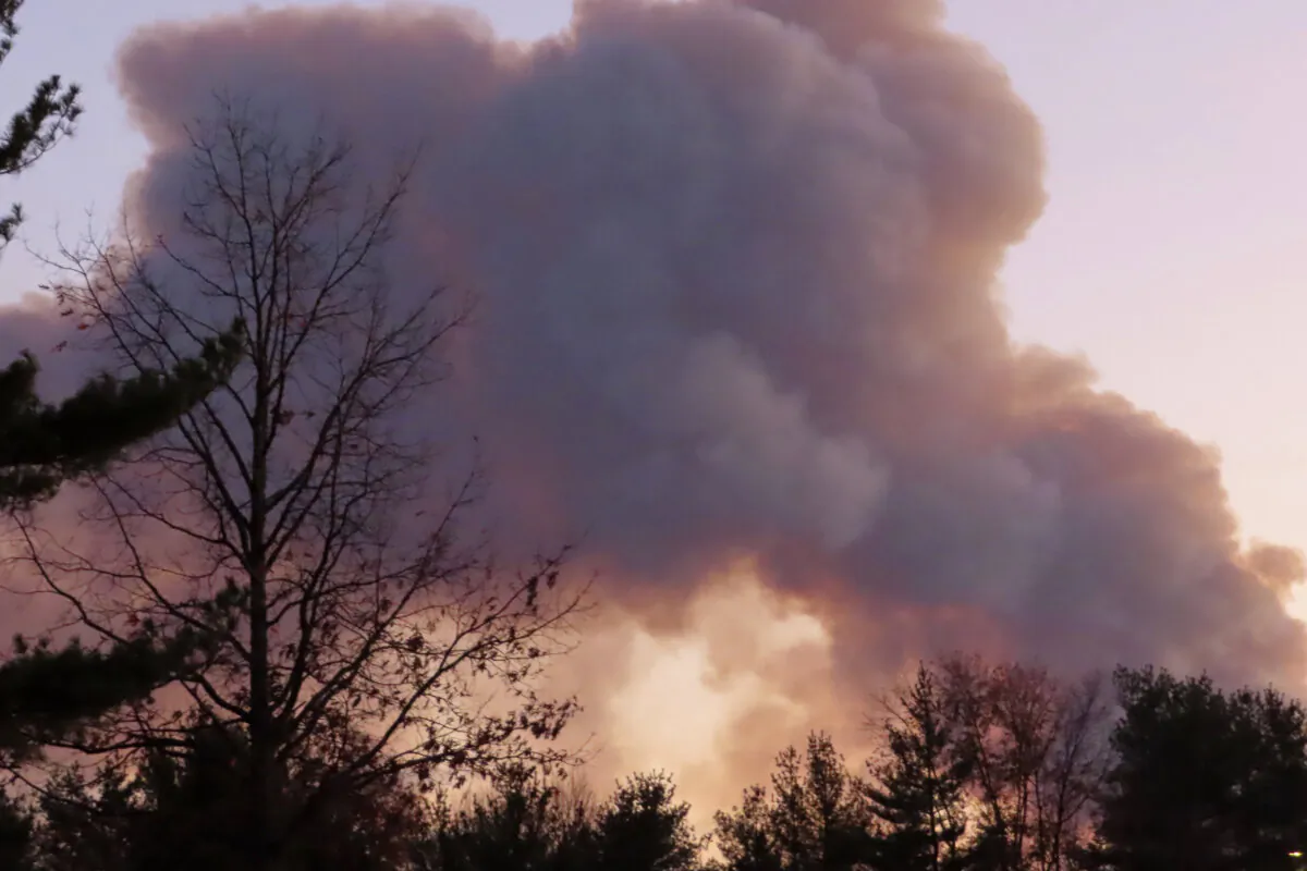 Smoke from a forest fire rises above the trees in Evesham, N.J. on Nov. 7, 2024. (Wayne Parry/AP Photo)