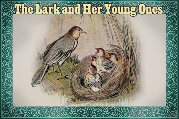 Aesop's Fables: The Lark and Her Young Ones