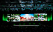 COP29 Greenlights UN-Backed Global Carbon Credits Market