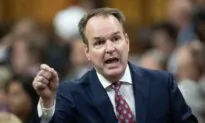 Minority Liberals Currently Lack Necessary Votes to Pass Federal Budget, House Leader Says