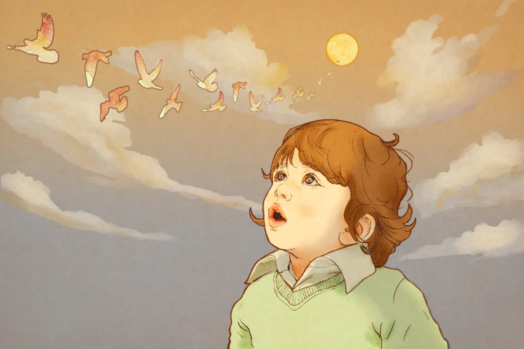 (Illustration by Fei Meng)