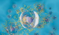Study Reveals Why COVID-19 Vaccine Antibodies Wane Rapidly