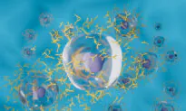 Study Reveals Why COVID-19 Vaccine Antibodies Wane Rapidly