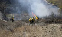 Natural Gas Flares Sparked 2 Wildfires in North Dakota, State Agency Says