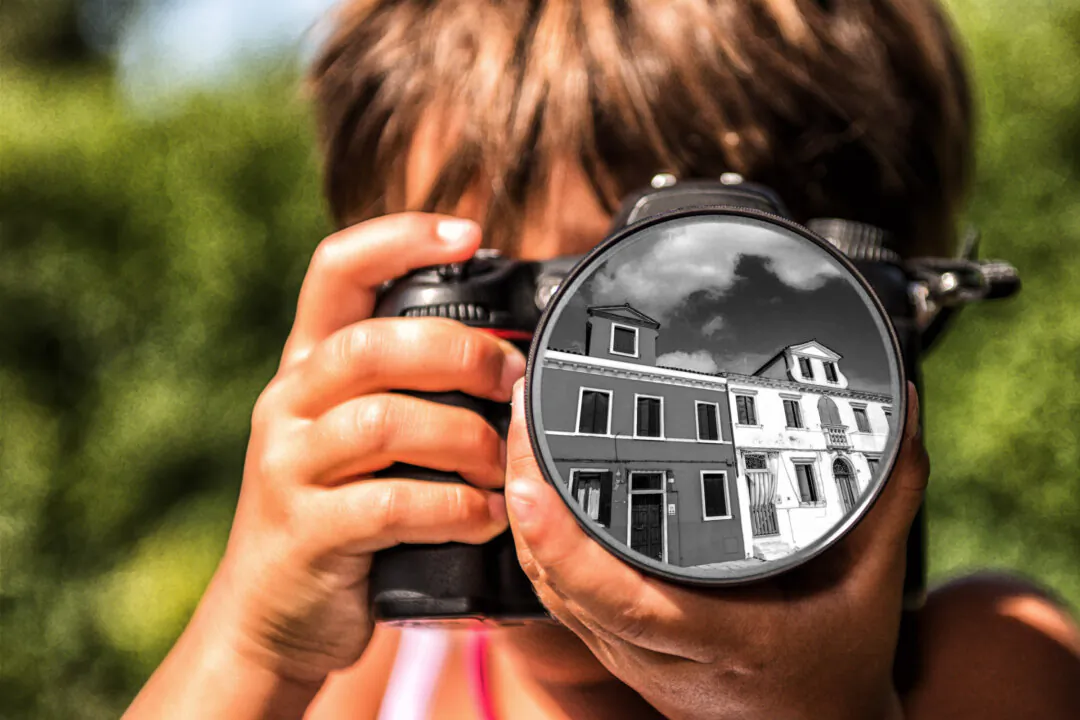 (pisaphotography/Shutterstock)