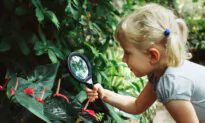 Time in Nature Reduces Emotional Distress in Children, Study Finds
