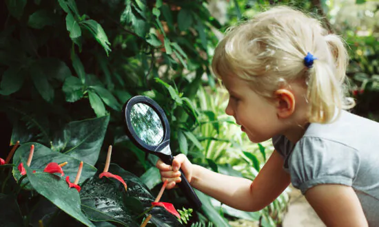 Time in Nature Reduces Emotional Distress in Children, Study Finds