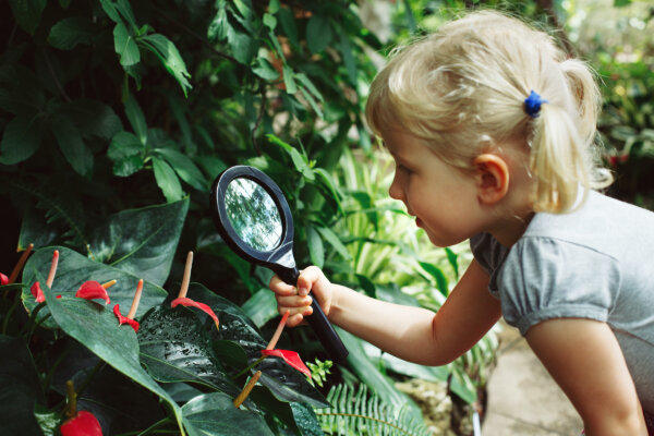 Time in Nature Reduces Emotional Distress in Children, Study Finds